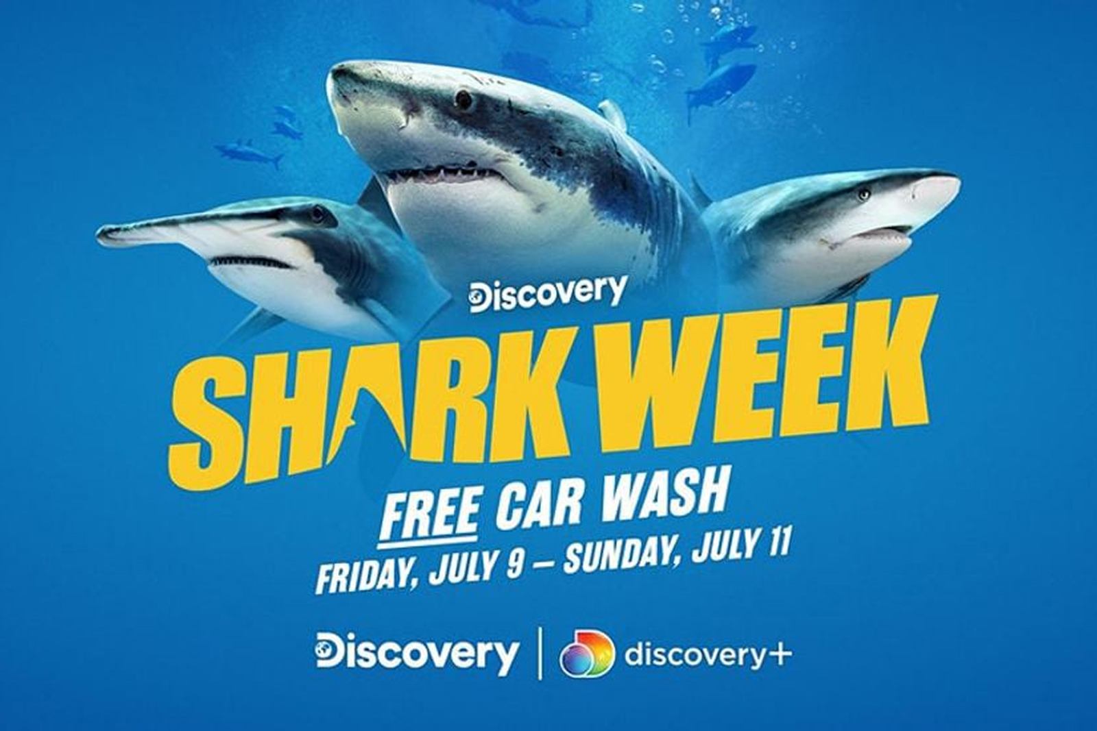 Discovery Shark Week 1