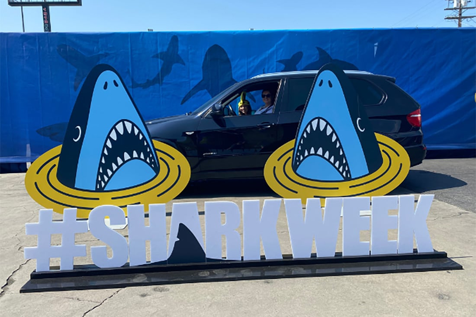 Discovery Shark Week 4