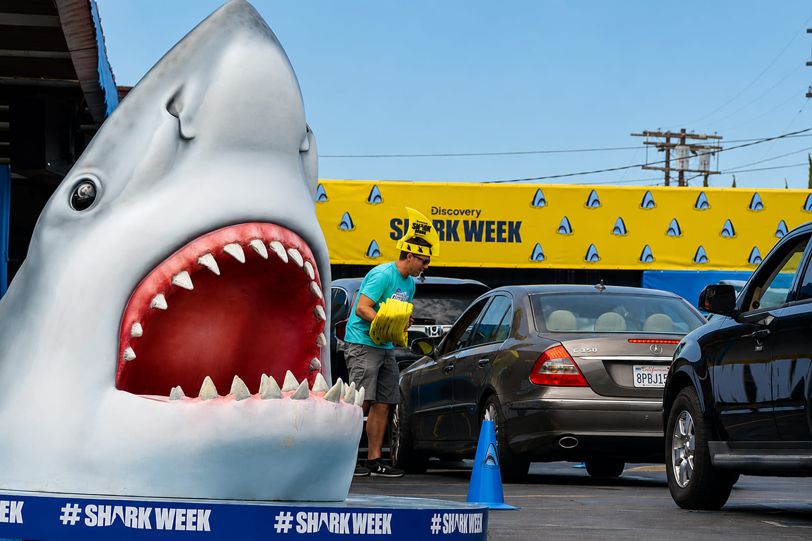 Discovery-Shark-Week-6