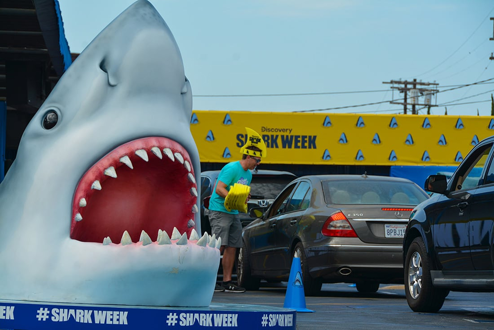 Discovery Shark Week 6