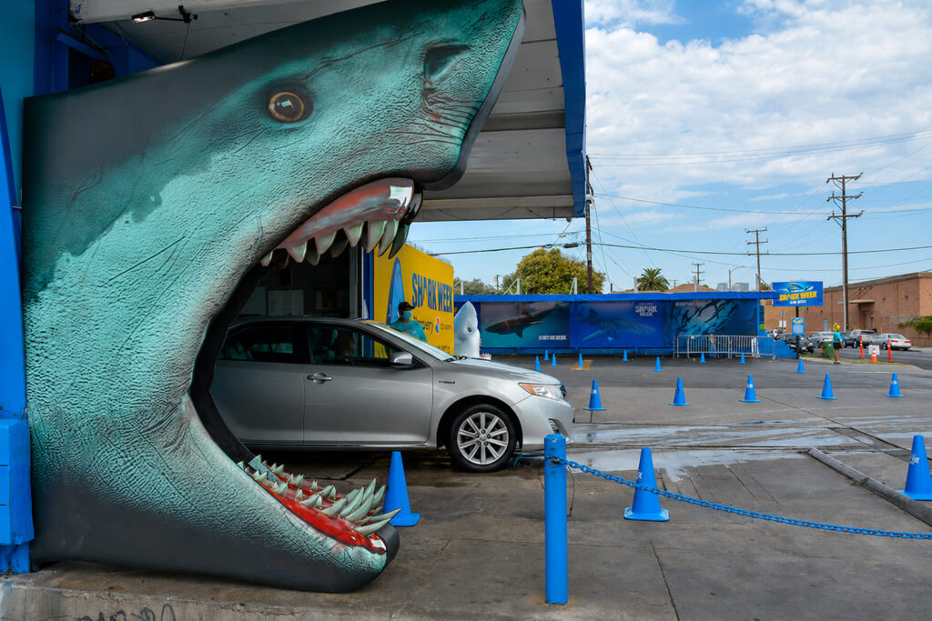 Discovery Shark Week banner