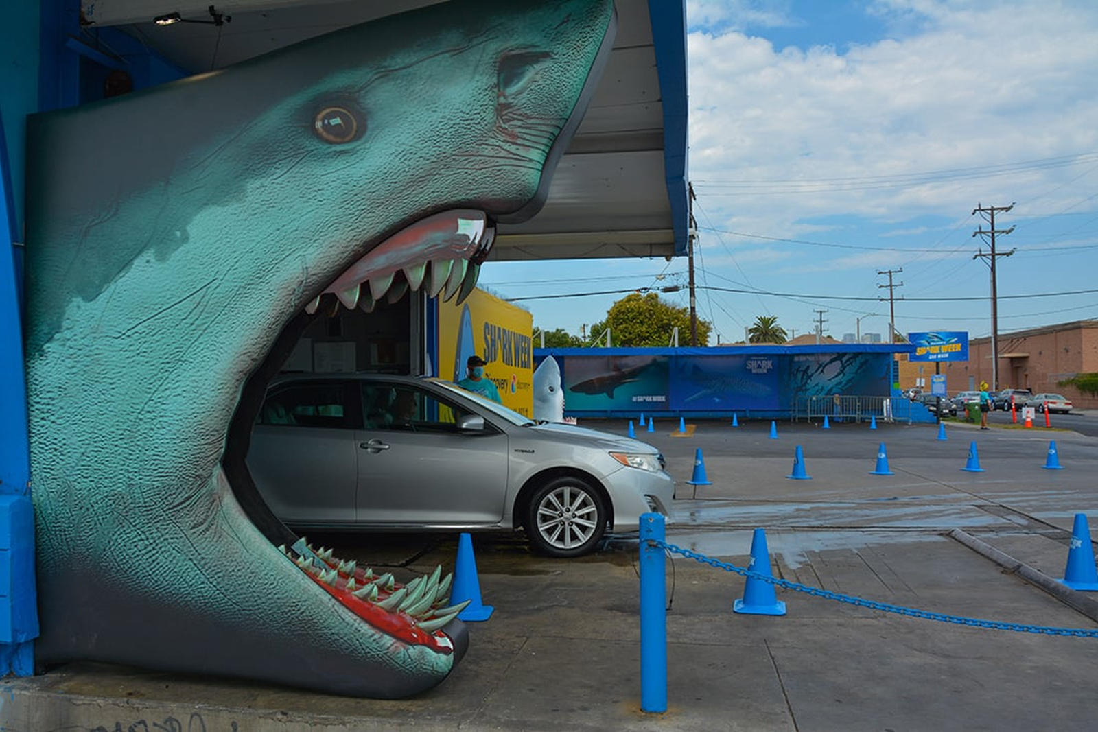 Discovery Shark Week banner