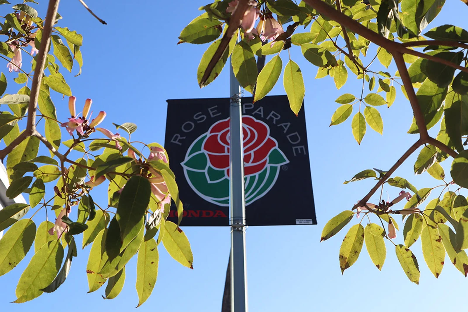 Rose Bowl Parade & Game 6